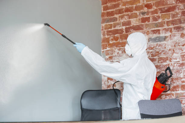 Best Mold Removal for HVAC Installations  in Clinton, MS
