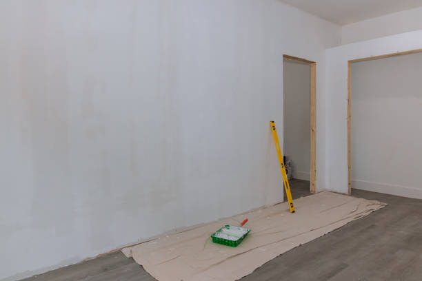 Best Black Mold Removal  in Clinton, MS
