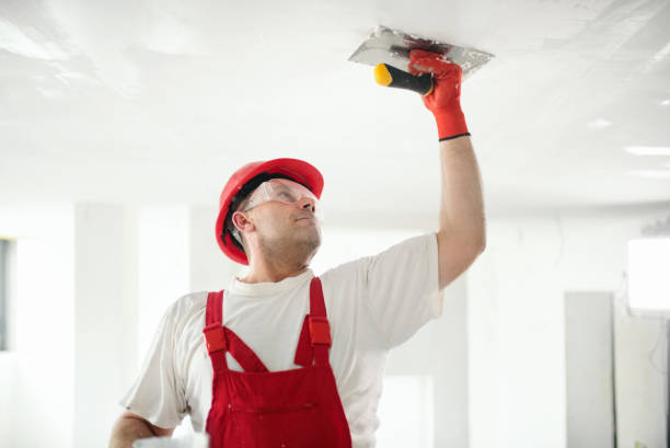 Best Mold Damage Restoration  in Clinton, MS