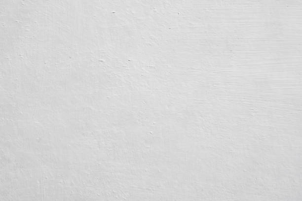 Best Mold Prevention Services  in Clinton, MS